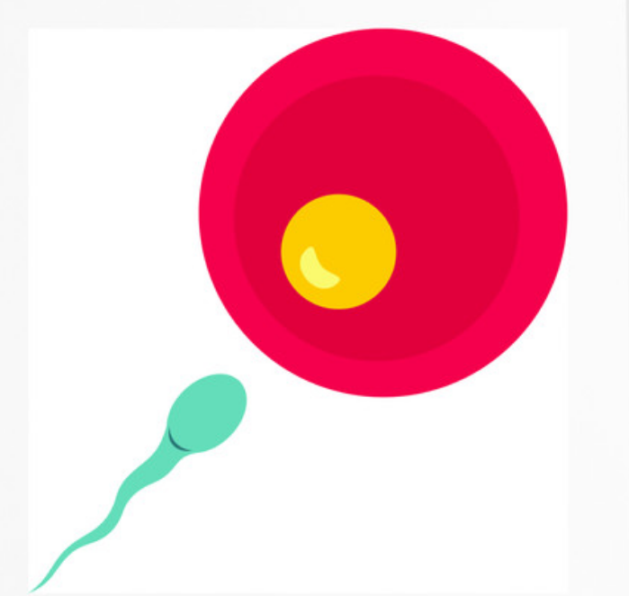 代怀孕网排名,助孕的方法有哪些？